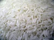 Jasmine rice