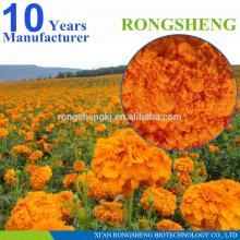 Natural  lutein  10%, marigold   lutein , lutein  zeaxanthin