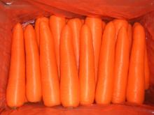 new crop vegetable Fresh carrot, Chinese fresh carrot