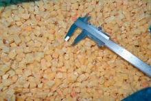 Chinese Hot Selling IQF Frozen Sweet  Potato  dice