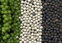 Black Pepper / White Pepper Affordable Price