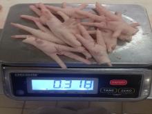 GRADE A CHICKEN PAW