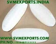 Cuttlefish bone