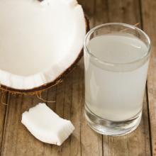 Coconut Water SD Powder - HALAL Certified
