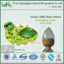 food supplement Green coffee bean extract Chlorogenic acid