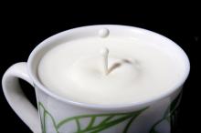 non dairy creamer for formula milk powder