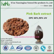 Food additive pine bark extract