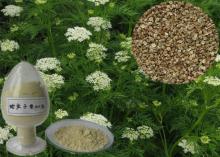 High quality Osthol 20%-98% HPLC, Cnidium Seed Extract