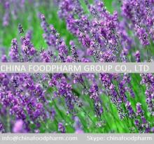 Manufacturer Supply  Rosemary  Extract Carnosic  Acid / Rosmarinic  Acid /  Ursolic   Acid 