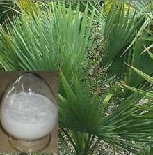 Saw palmetto Extract / Fatty Acid