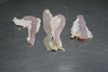 Bung cap tips