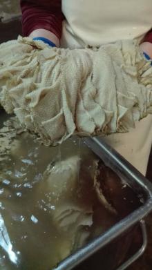 Beef omasum