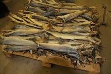 FROZEN HEAD HERRING