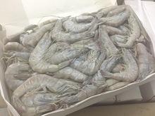 Frozen Head On Vanamei Shrimp