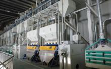 Rice  Grading   Machine 
