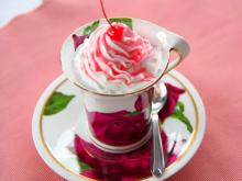 N50C non dairy creamer for ice cream