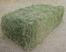 Alfalfa Hay, Timothy Hay, Animal feed