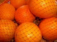 Fresh Oranges