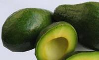 Fresh Avocado for Sale