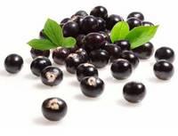Acai Berry