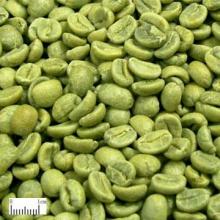 Natural Green coffee bean extract with 50% Chlorogenic acid