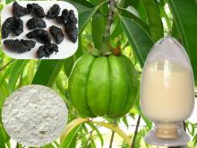 Garcinia Cambogia Extract, Pure Garcinia Cambogia Extract powder