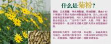 Natural 86% 90% Inulin powder wholesale, Food grade Inulin in bulk supply