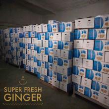 Fresh Ginger