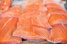 Salmon  Fish , Tuna   Fish ,Makerel  fish 