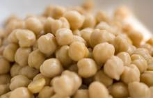 Chickpea