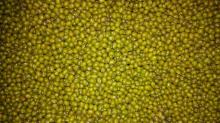 GREEN MUNG BEANS