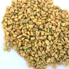 Best Quality Cheap 60% 4- Hydroxyisoleucine  Fenugreek Seed extract
