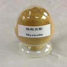  Myricetin 