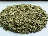 Pumpkin Kernel for sale