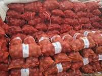 Fresh Red, Yellow and White Onion for sale