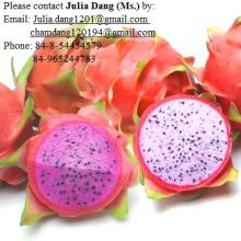 Vietnamese Dragon Fruit