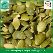 Dried shelled pumpkin seeds pepitas seeds