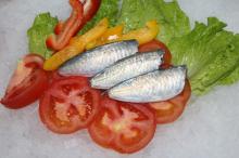 High Quality HGT horse mackerel
