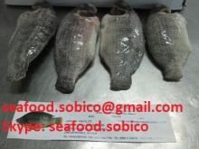 Tilapia Whole Cleaned. WGGS/ WGS/WGG from SOBICO VIETNAM. Skype: seafood.sobico
