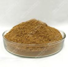  Angelica   Root   Extract 