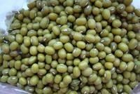 Dried Beans for sale