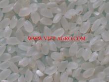 Japonica round rice