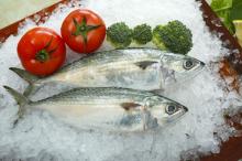 frozen indian mackerel prices