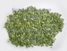 Freeze  Dried   Leek 