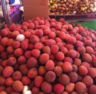  fresh   lychee   fruit 