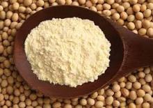  Soybean   Powder 