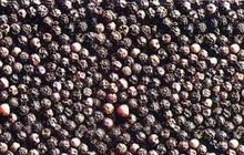 Black Pepper 500 Gr/L