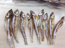 DRIED ANCHOVY FOR SALE NOW !
