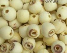 Dried white lotus seeds Grade A for sale
