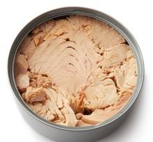 Canned Tuna Solid in Oil